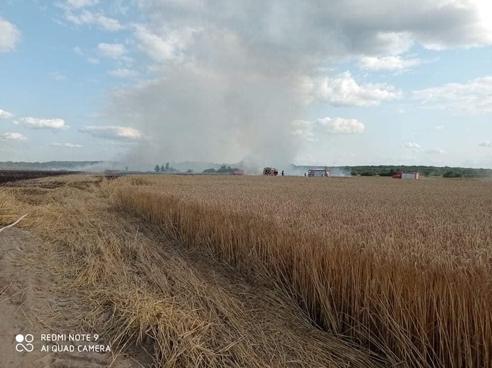 Niebawem miał zbierać plony. Spłonęło 10 ha zboża na pniu, dym widać było w sąsiednim powiecie (zdjęcia)