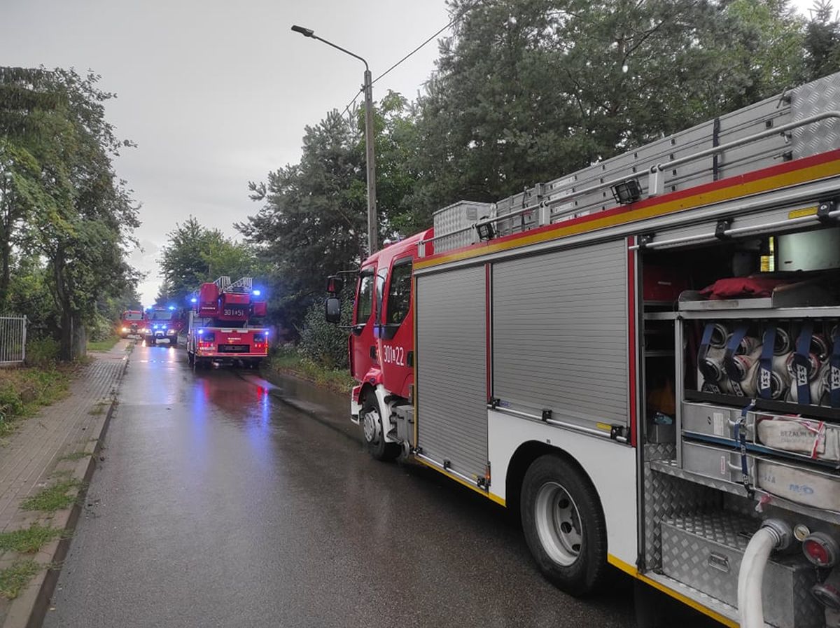 Poranny pożar koło Lublina. Ogień pojawił się na skutek uderzenia pioruna (zdjęcia)