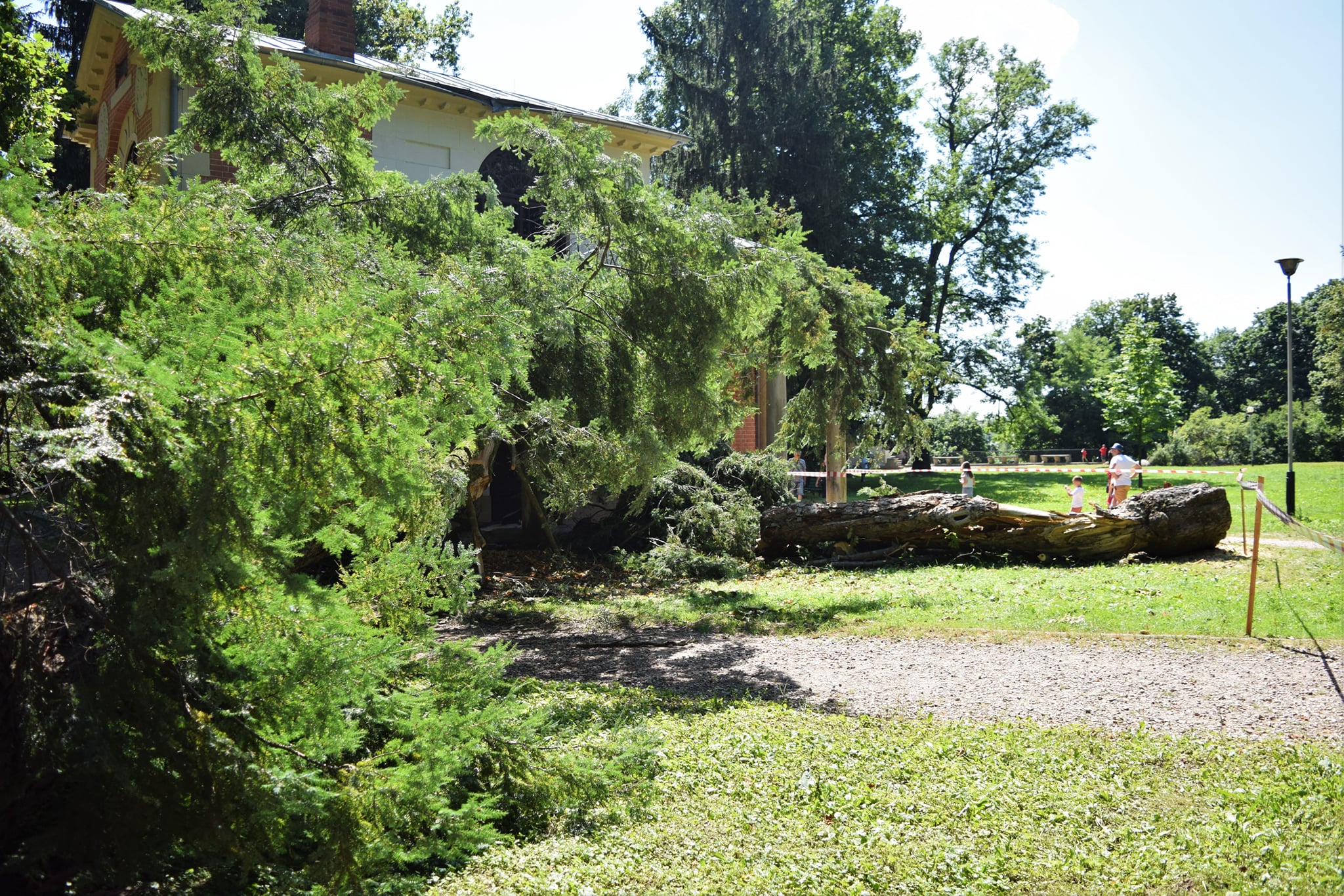 Jeden z najcenniejszych zabytków w Puławach uszkodzony. Na budynek burza przewróciła drzewo (zdjęcia)