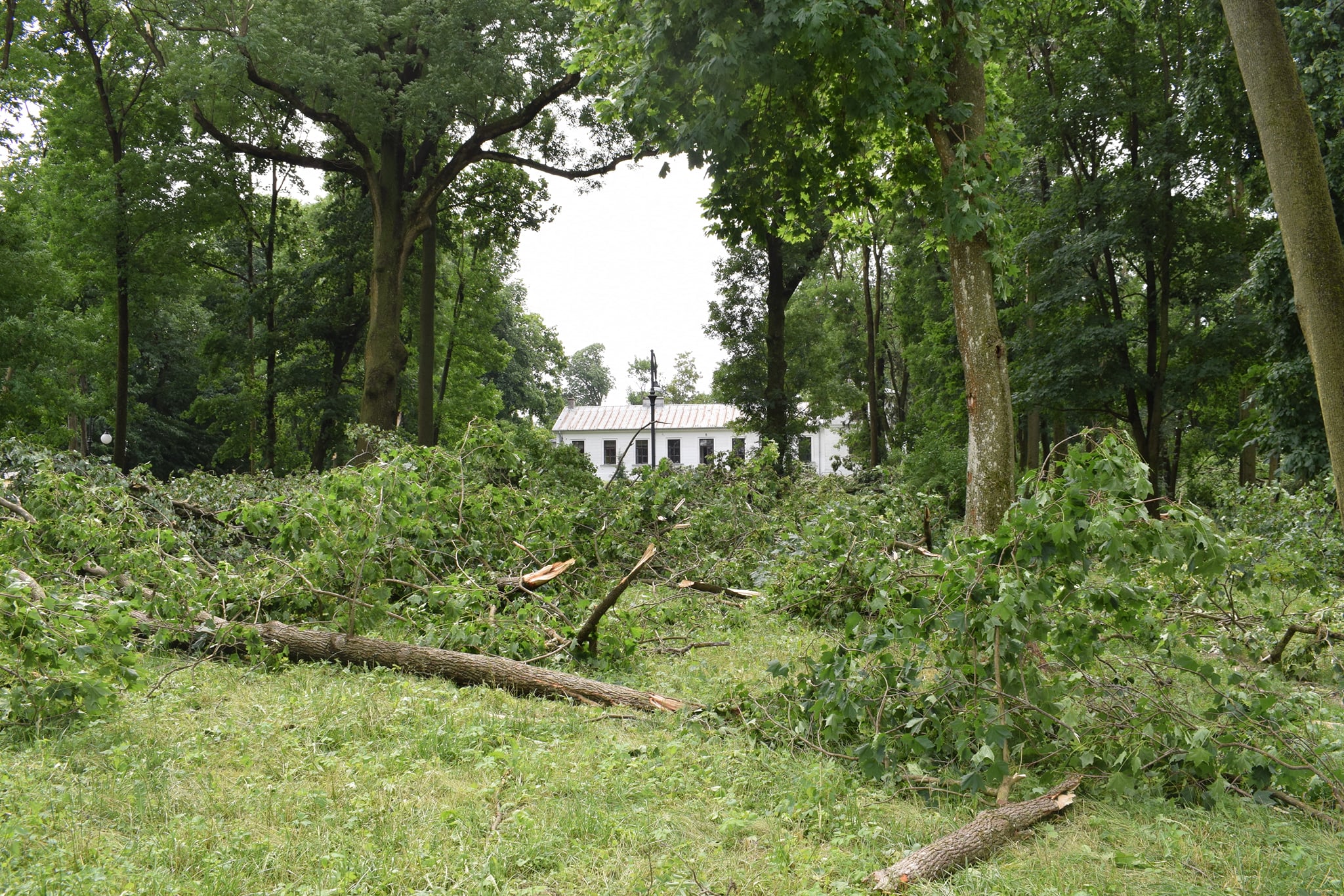 Podliczono uszkodzone drzewa w zabytkowym parku. Straty są ogromne (zdjęcia)