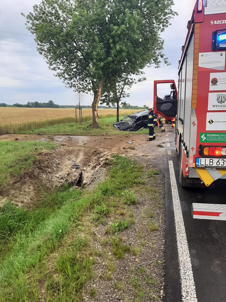 Tragiczny wypadek na drodze wojewódzkiej. Opel uderzył w drzewo, kierowca nie żyje (zdjęcia)