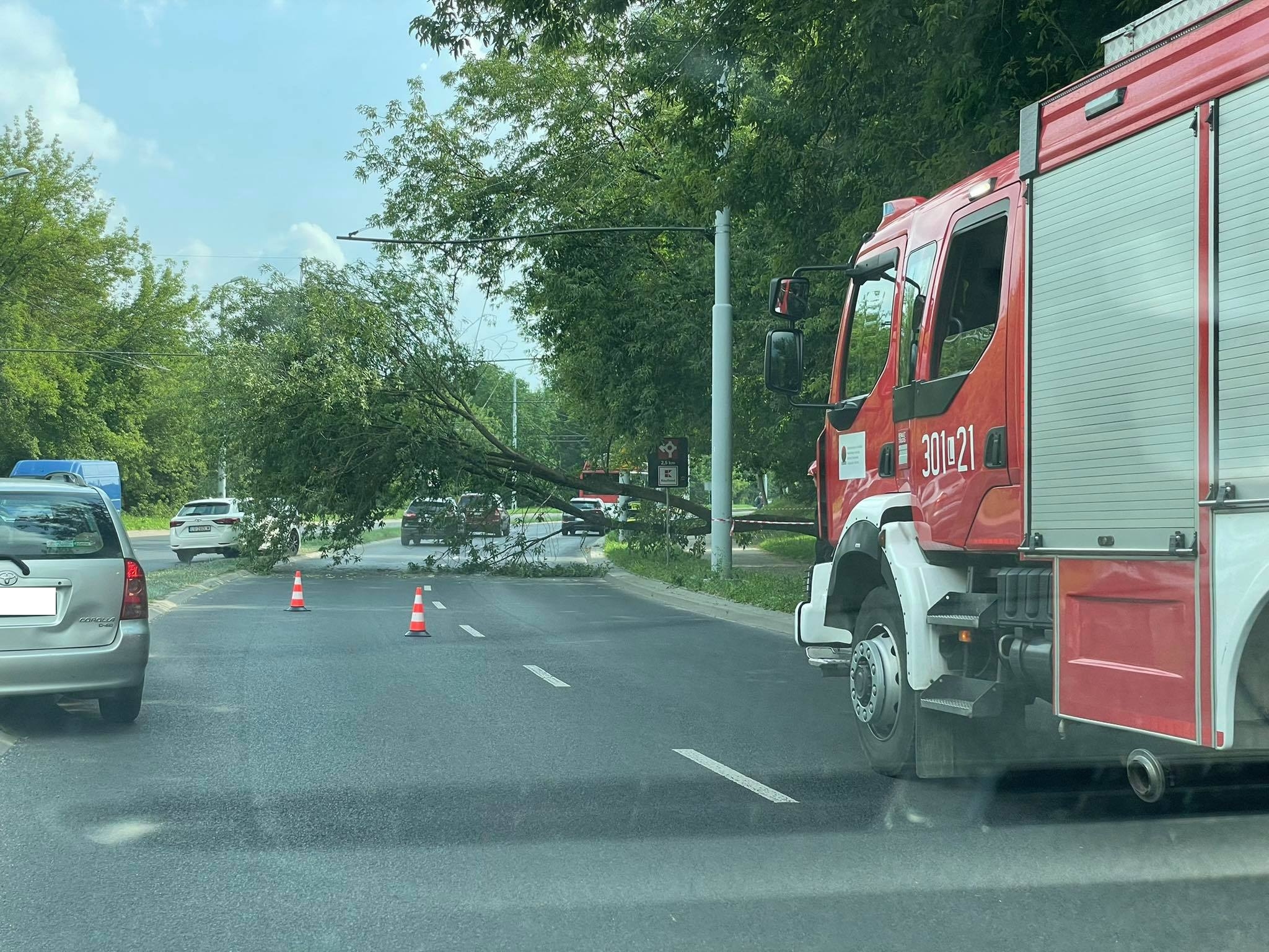 Zablokowany przejazd ul. Nadbystrzycką, na jezdni leży drzewo (zdjęcia)