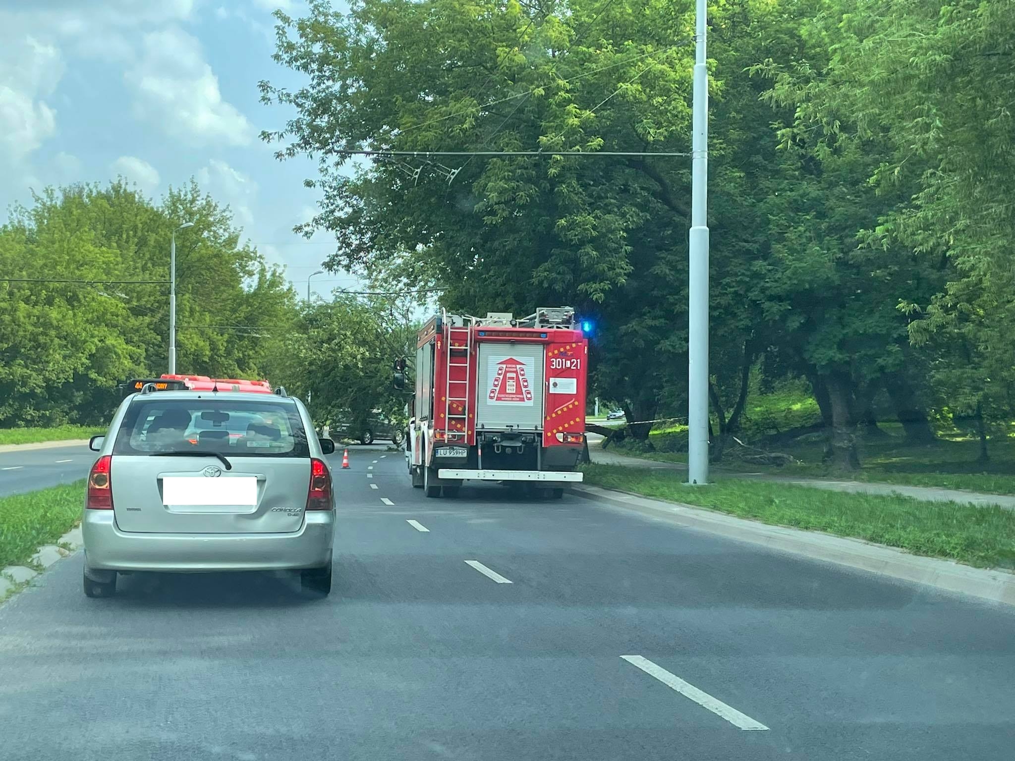 Zablokowany przejazd ul. Nadbystrzycką, na jezdni leży drzewo (zdjęcia)