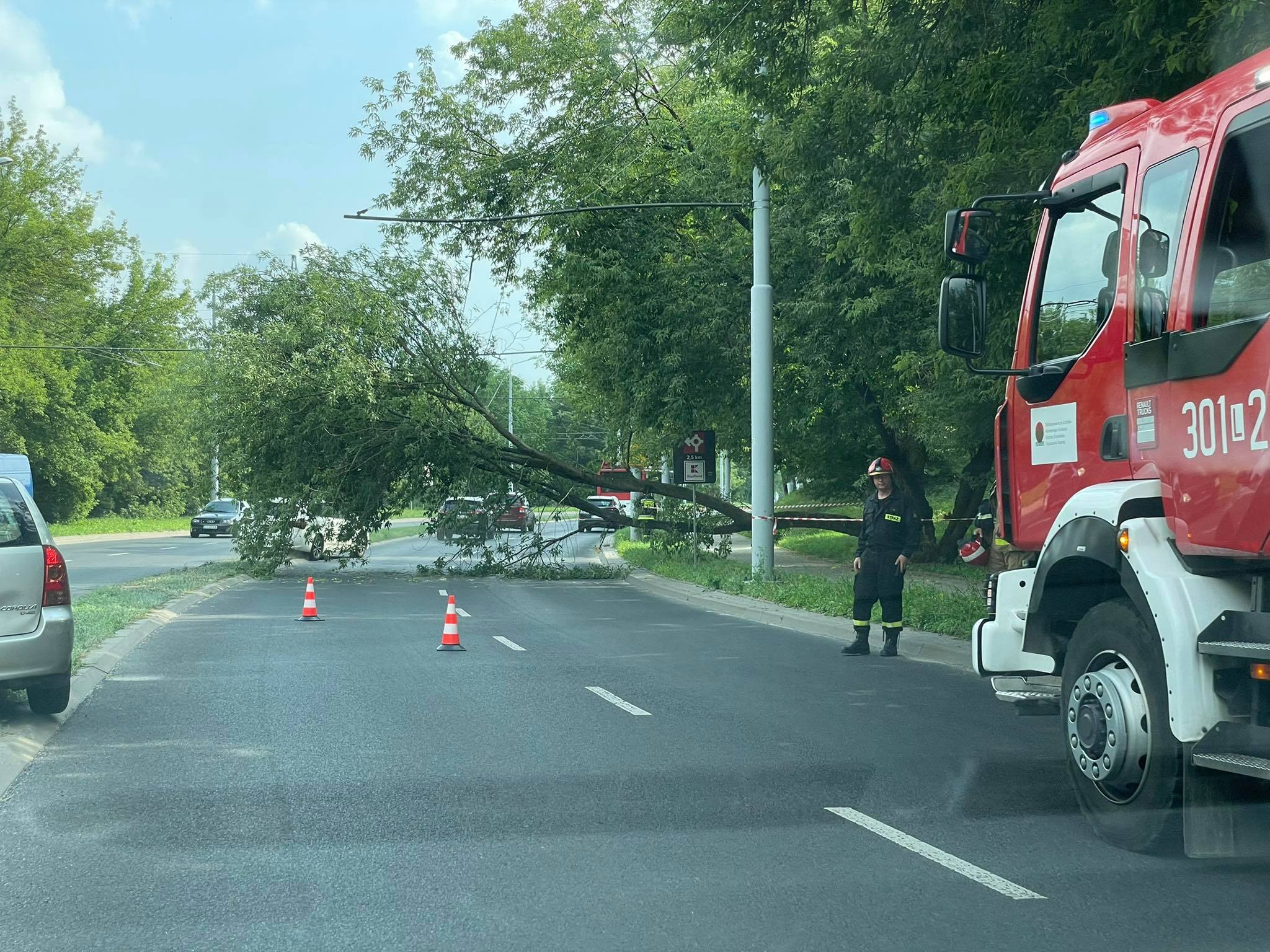 Zablokowany przejazd ul. Nadbystrzycką, na jezdni leży drzewo (zdjęcia)