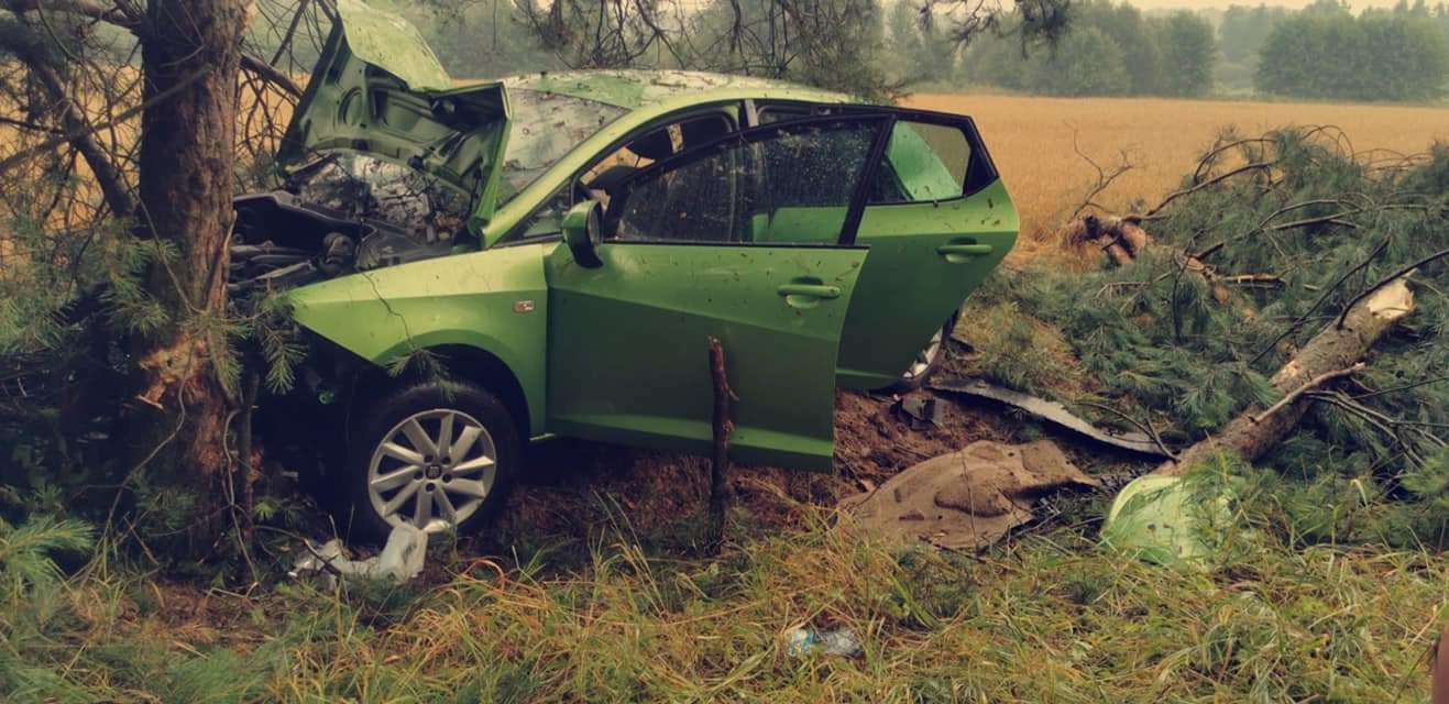 Zjechała seatem z drogi, auto uderzyło w drzewo (zdjęcia)