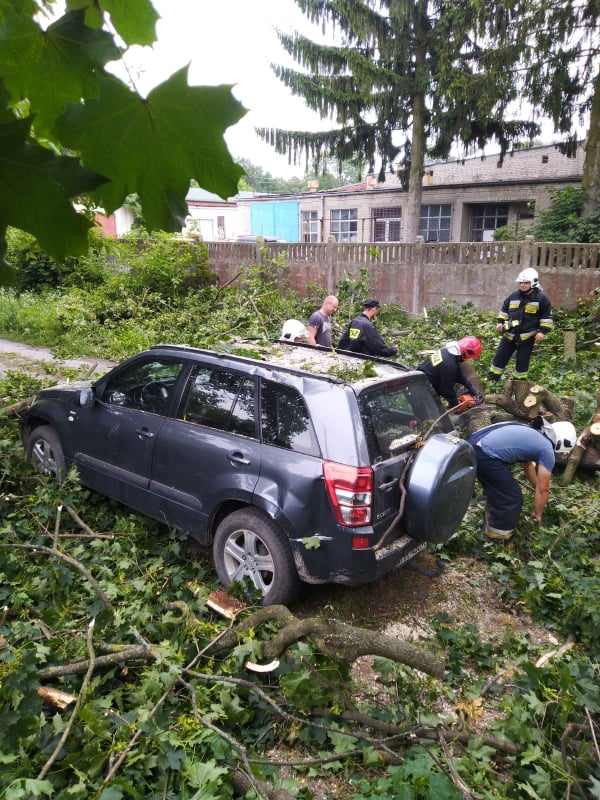 Spróchniały konar runął na zaparkowane auto. Kilkanaście tysięcy strat (zdjęcia)