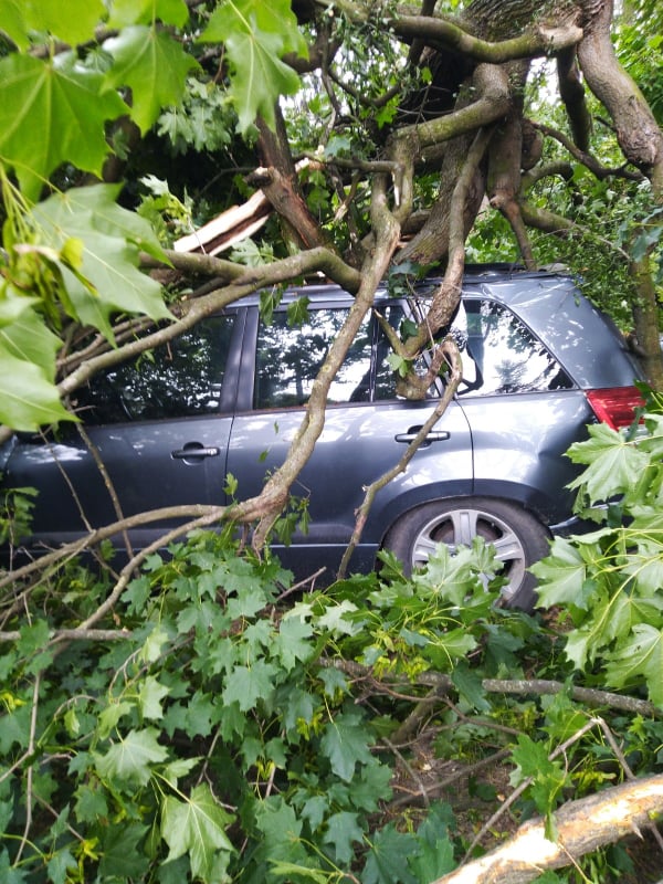 Spróchniały konar runął na zaparkowane auto. Kilkanaście tysięcy strat (zdjęcia)