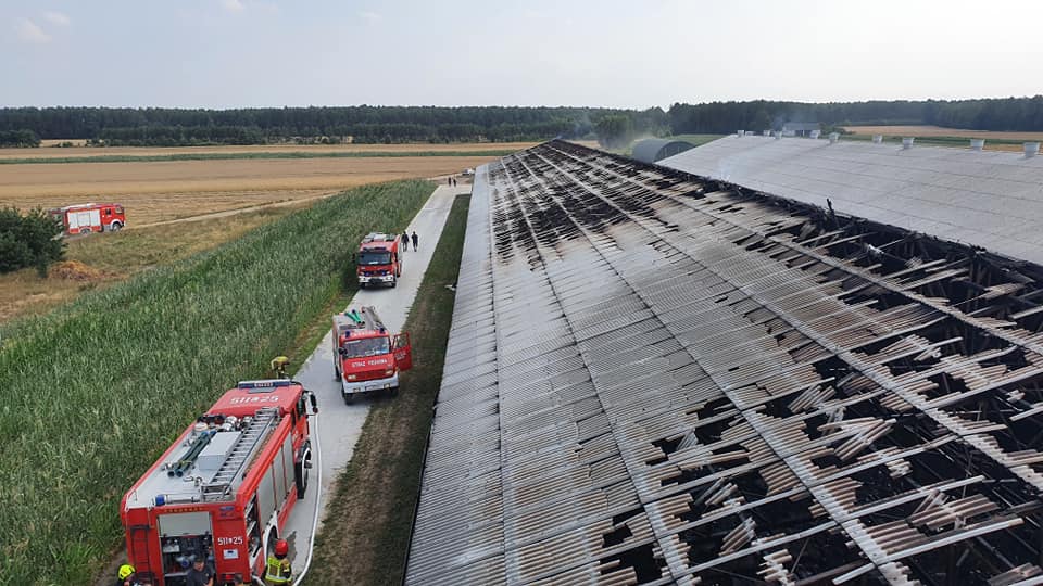 Niebawem miały tam zamieszkać tysiące kurczaków. Kurnik spłonął (zdjęcia)