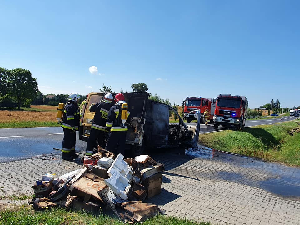 Pożar pojazdu dostawczego na drodze wojewódzkiej. Auto doszczętnie spłonęło (zdjęcia)