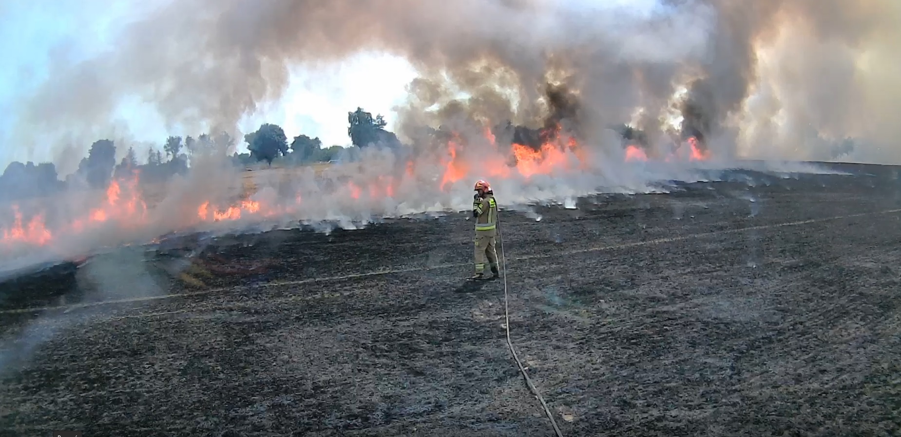 Ogromny pożar zboża. Spłonęło 6 hektarów jęczmienia (zdjęcia)
