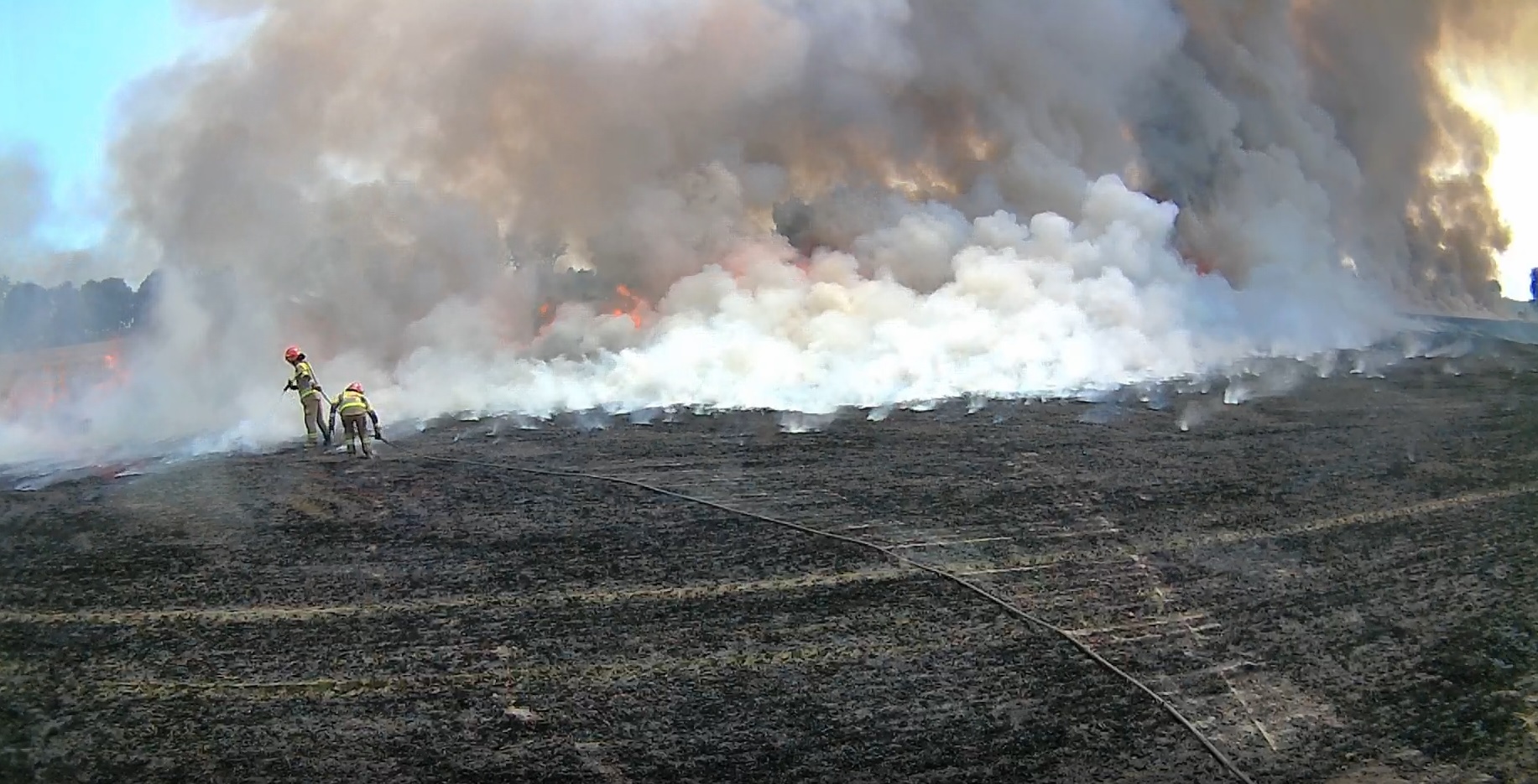 Ogromny pożar zboża. Spłonęło 6 hektarów jęczmienia (zdjęcia)