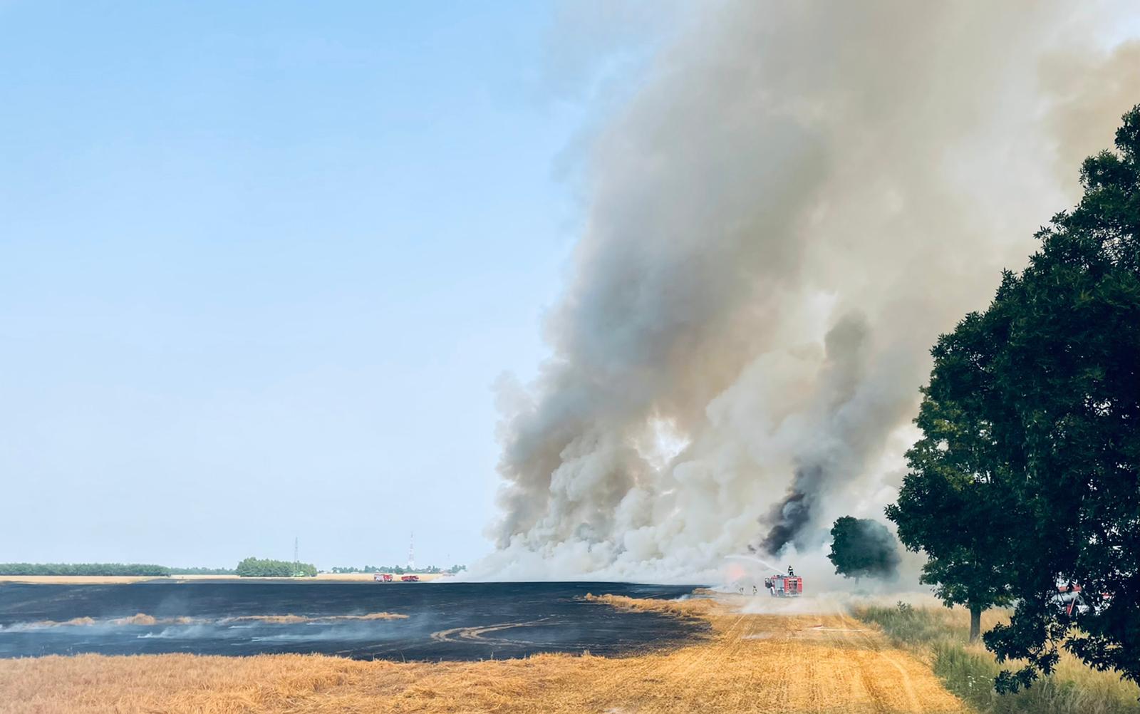 Ogromny pożar zboża. Spłonęło 6 hektarów jęczmienia (zdjęcia)