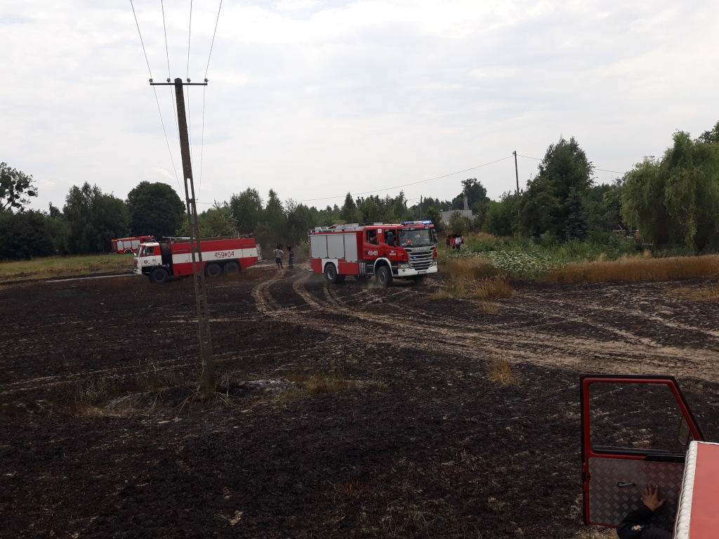 Strażacy walczyli z pożarem traw oraz zboża na pniu (zdjęcia)