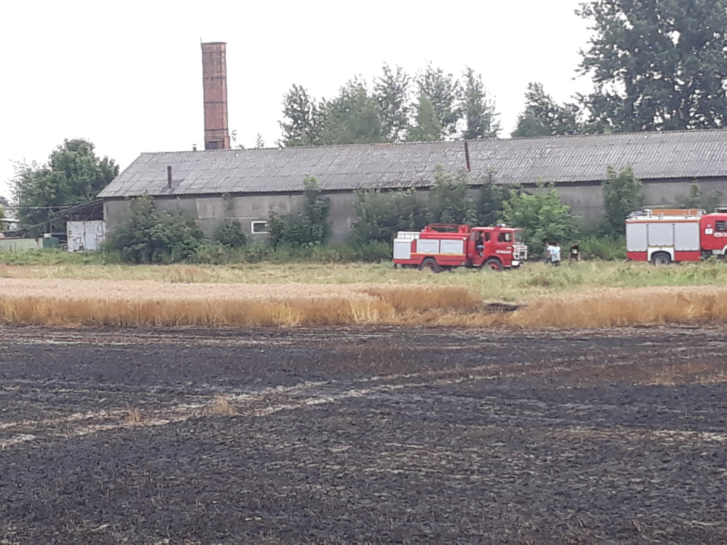 Strażacy walczyli z pożarem traw oraz zboża na pniu (zdjęcia)