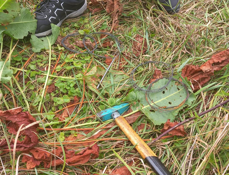 Zwrócili uwagę na mężczyznę z młotkiem i linką w ręku. Kłusownik wpadł na gorącym uczynku (zdjęcia)