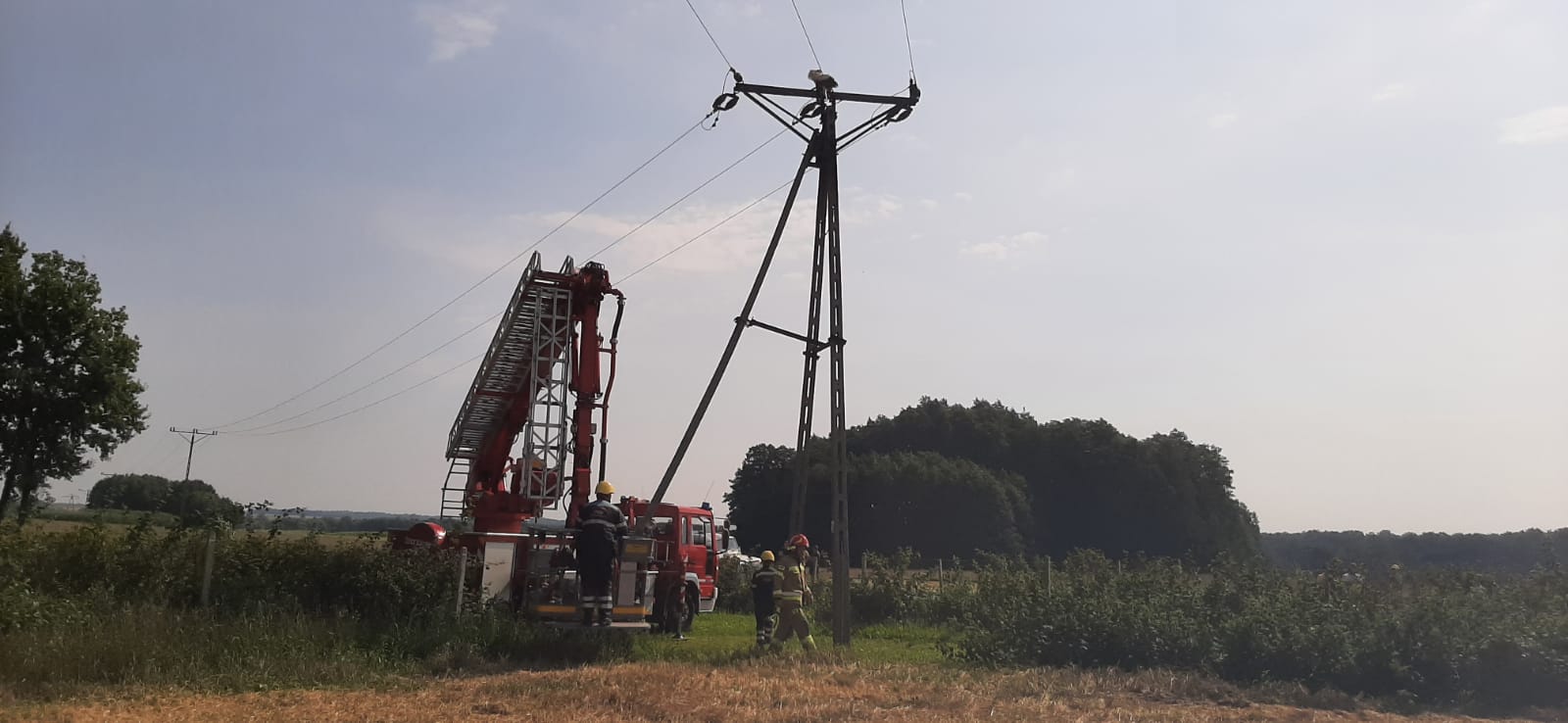 Bocian miał ogromne szczęście. Utknął w linii energetycznej i przeżył (zdjęcia)