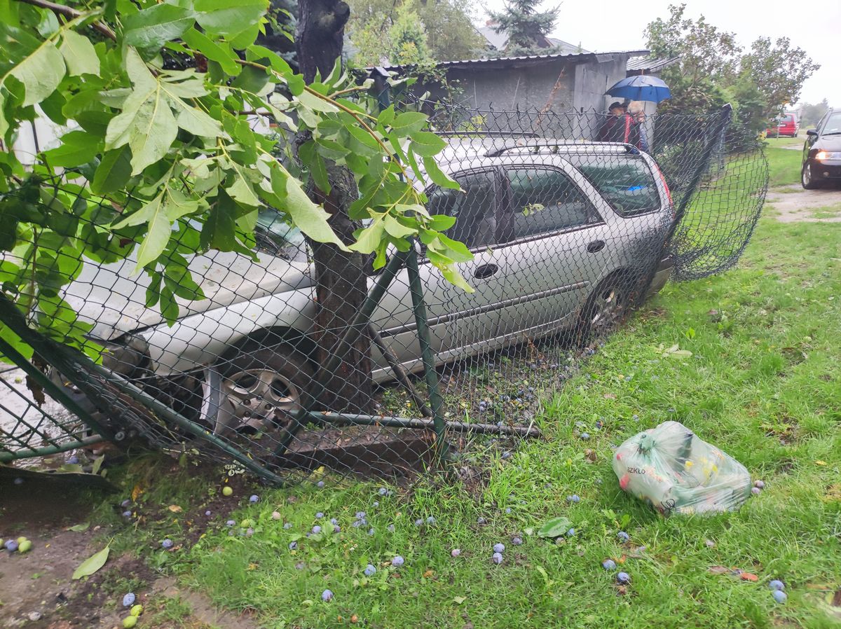 Renault wypadł z drogi, staranował ogrodzenie i uderzył w drzewo. Kierowca w szpitalu (zdjęcia)