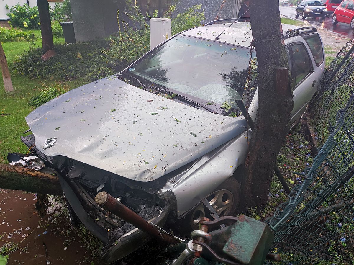 Renault wypadł z drogi, staranował ogrodzenie i uderzył w drzewo. Kierowca w szpitalu (zdjęcia)