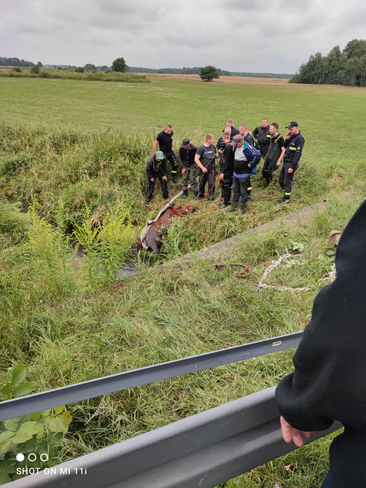 Strażacy uratowali konia uwięzionego w rowie z wodą (zdjęcia)