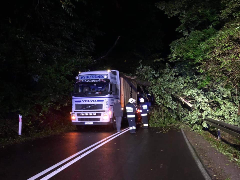 Drzewo runęło na ciężarówkę. Kierowca miał dużo szczęścia (zdjęcia)