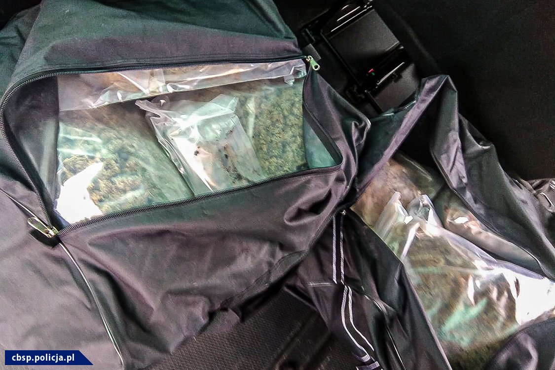 Rozprowadzali narkotyki na terenie trzech województw. Dwie osoby zatrzymane, zabezpieczono prawie 80 kg marihuany (wideo, zdjęcia)