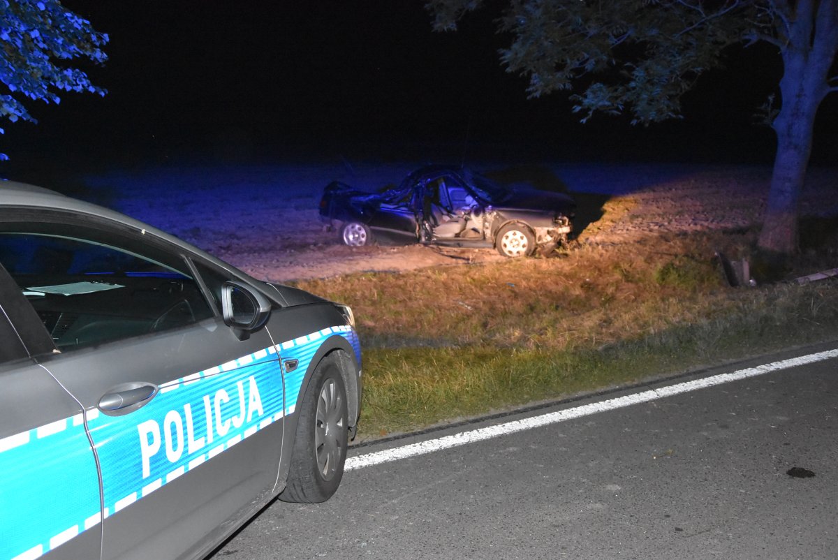 Dwóch mężczyzn poniosło śmierć w wypadku. Policjanci poszukują świadków zdarzenia (zdjęcia)