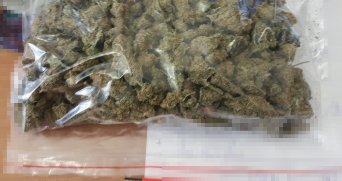 Jeden marihuanę ukrył w samochodzie, drugi obok warzyw uprawiał konopie (zdjęcia)