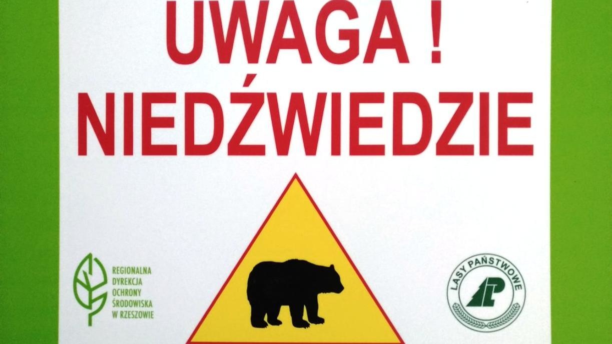 „Uwaga niedźwiedzie”. Jedna z gmin w regionie ostrzega mieszkańców