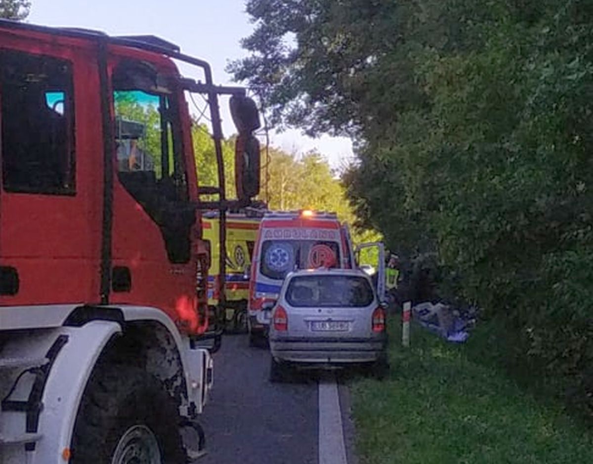 Auto dostawcze wpadło do rowu. Trwa akcja ratunkowa i walka o życie jednej osoby (zdjęcia)