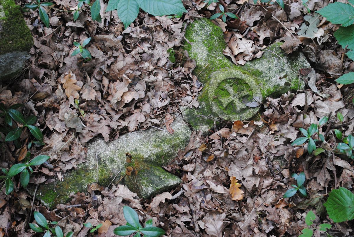 Uporządkują i wyremontują kolejne zapomniane nekropolie. Rusza akcja „Cmentarze Pogranicza”