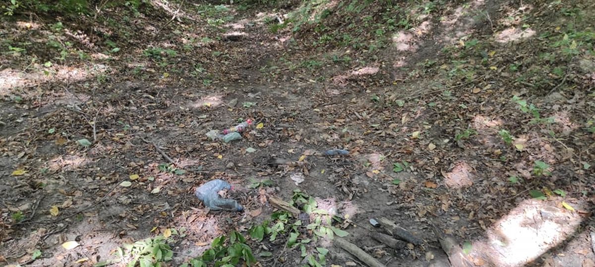 Zbliża się Dzień Sprzątania Świata. W Lublinie mieszkańcy uporządkują zagajnik na granicy miasta