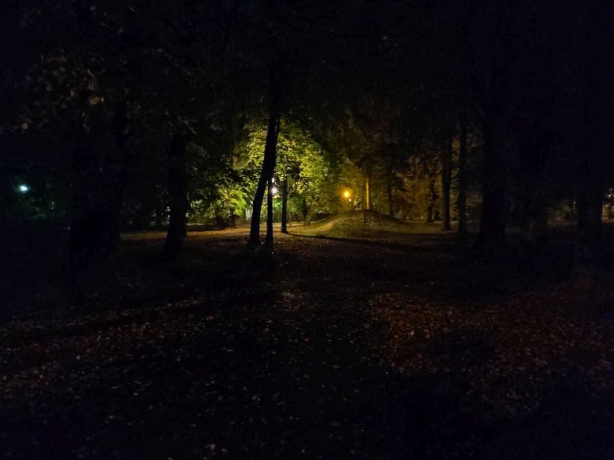 Ciemno w Parku Bronowickim. Mieszkańcy alarmują, że znaczna część latarni nie świeci (zdjęcia)