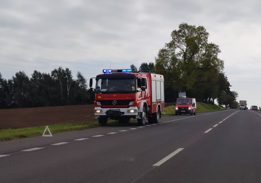 Sarna zderzyła się dwoma fordami. Zwierzę nie przeżyło (zdjęcia)