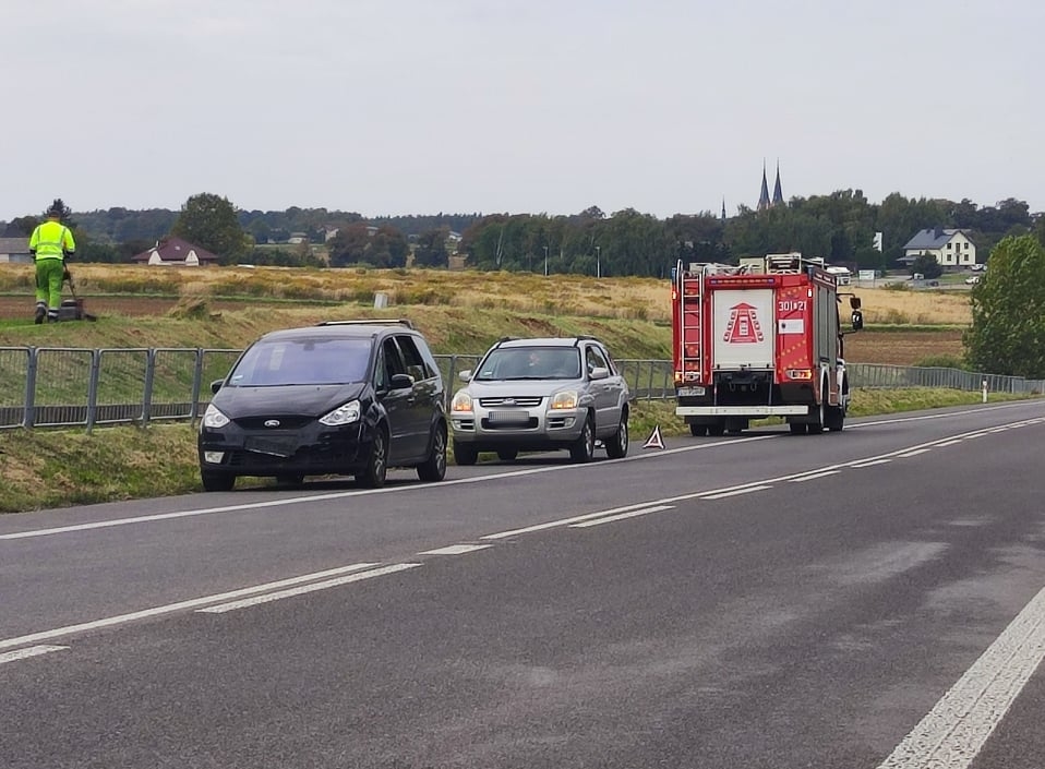 Sarna zderzyła się dwoma fordami. Zwierzę nie przeżyło (zdjęcia)