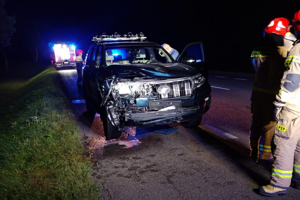 Coraz więcej zdarzeń drogowych z dziką zwierzyną. Apel o ostrożność na drodze (zdjęcia)