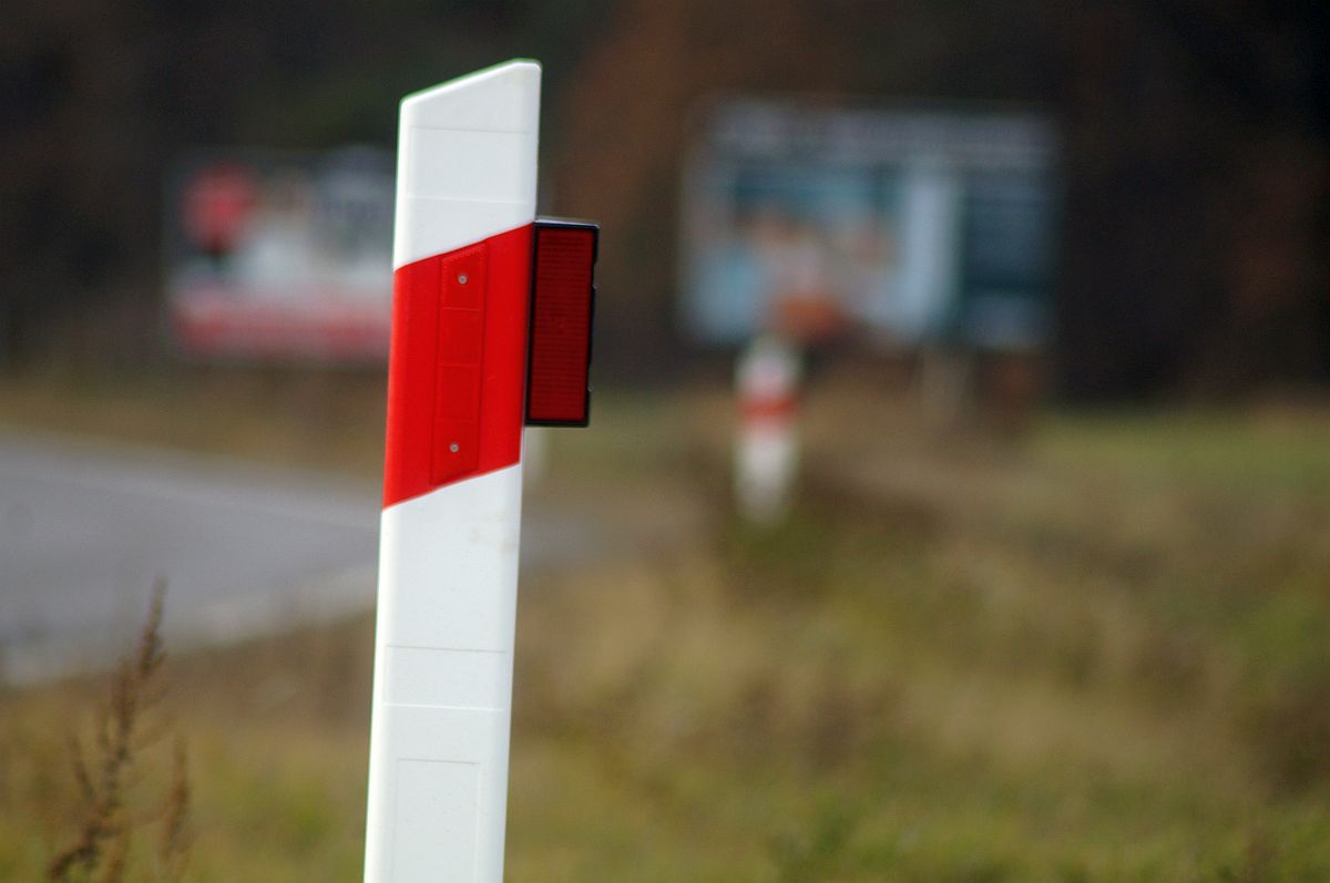 Odkąd wybudowali tę drogę, wciąż dochodzi do potrąceń zwierząt. Pomóc mają „wilcze oczy” (zdjęcia)