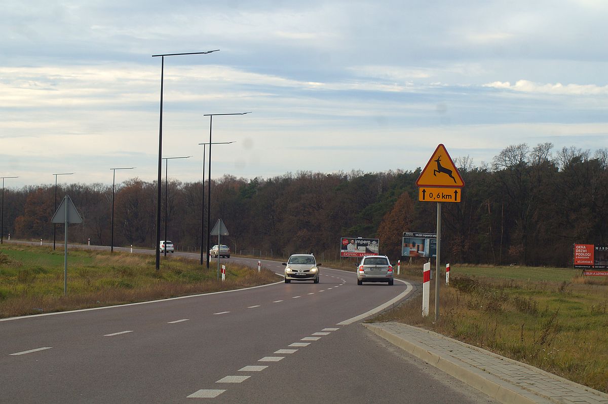 Odkąd wybudowali tę drogę, wciąż dochodzi do potrąceń zwierząt. Pomóc mają „wilcze oczy” (zdjęcia)