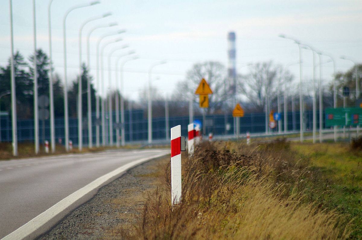 Odkąd wybudowali tę drogę, wciąż dochodzi do potrąceń zwierząt. Pomóc mają „wilcze oczy” (zdjęcia)