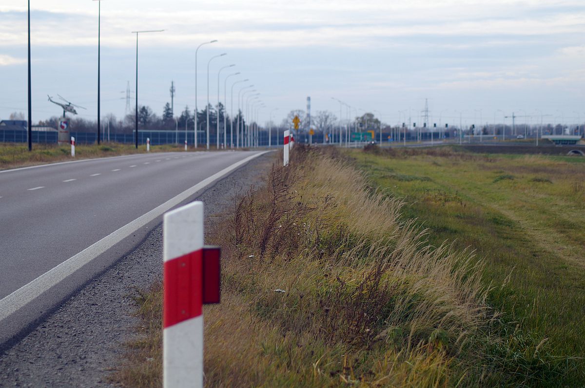 Odkąd wybudowali tę drogę, wciąż dochodzi do potrąceń zwierząt. Pomóc mają „wilcze oczy” (zdjęcia)