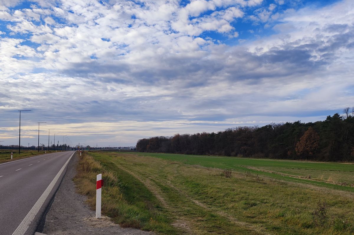 Odkąd wybudowali tę drogę, wciąż dochodzi do potrąceń zwierząt. Pomóc mają „wilcze oczy” (zdjęcia)