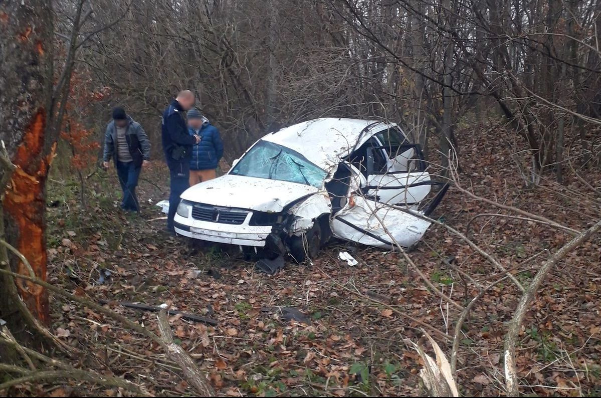Volkswagen wypadł z drogi i uderzył w drzewa. Kobieta trafiła do szpitala (zdjęcia)