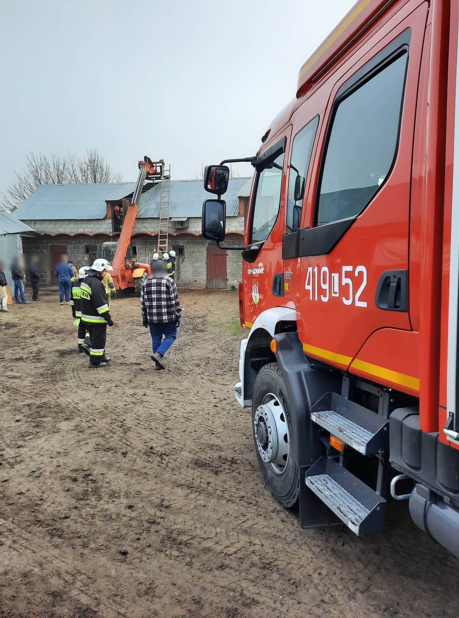 Krowa wpadła do szamba z gnojówką. Aby ją wyciągnąć, konieczna była pomoc 20 strażaków (zdjęcia)