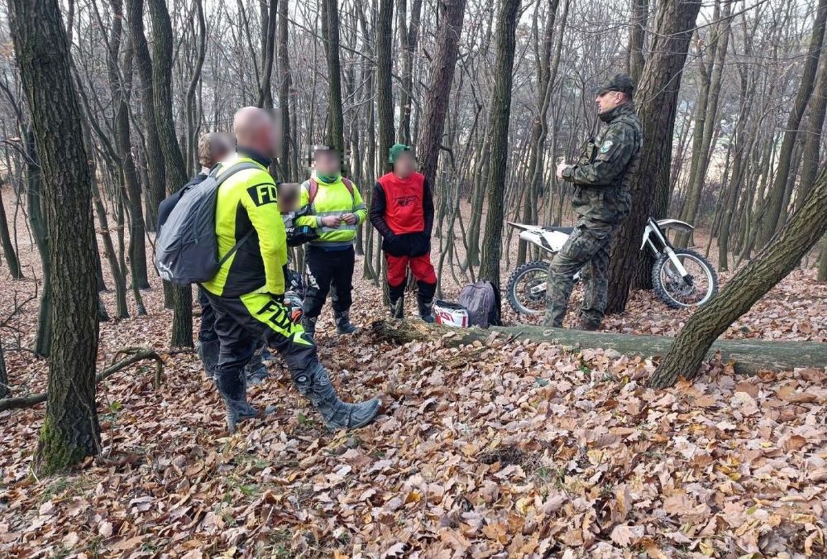 Leśnicy kilka tygodni tropili miłośników jazdy na motocyklach crossowych. Zatrzymali pięciu mężczyzn (zdjęcia)