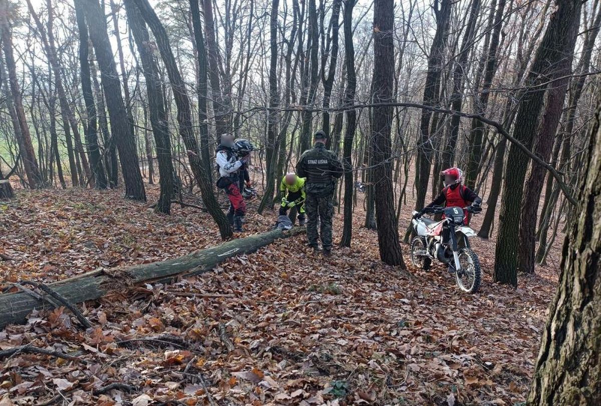 Leśnicy kilka tygodni tropili miłośników jazdy na motocyklach crossowych. Zatrzymali pięciu mężczyzn (zdjęcia)