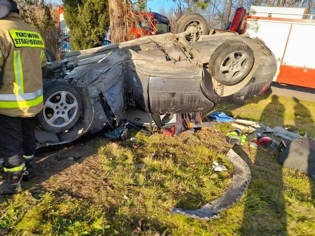 Audi uderzyło w drzewo i dachowało. Kierowca uciekł pieszo (zdjęcia)