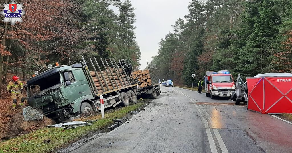 Tragiczny wypadek w Zwierzyńcu. Nie żyje kobieta kierująca busem (zdjęcia)