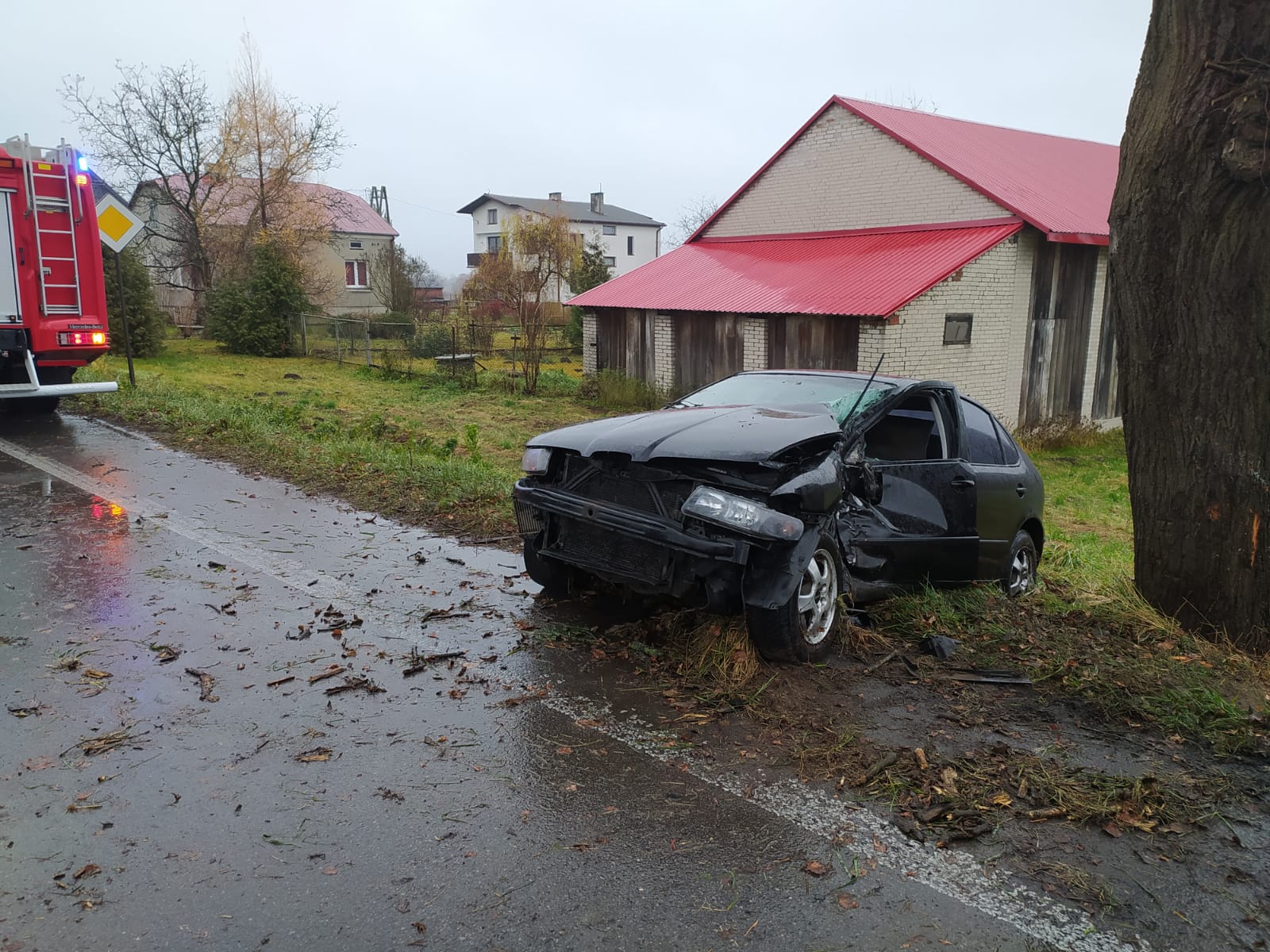 Seat wypadł z drogi i uderzył bokiem w drzewo (zdjęcia)