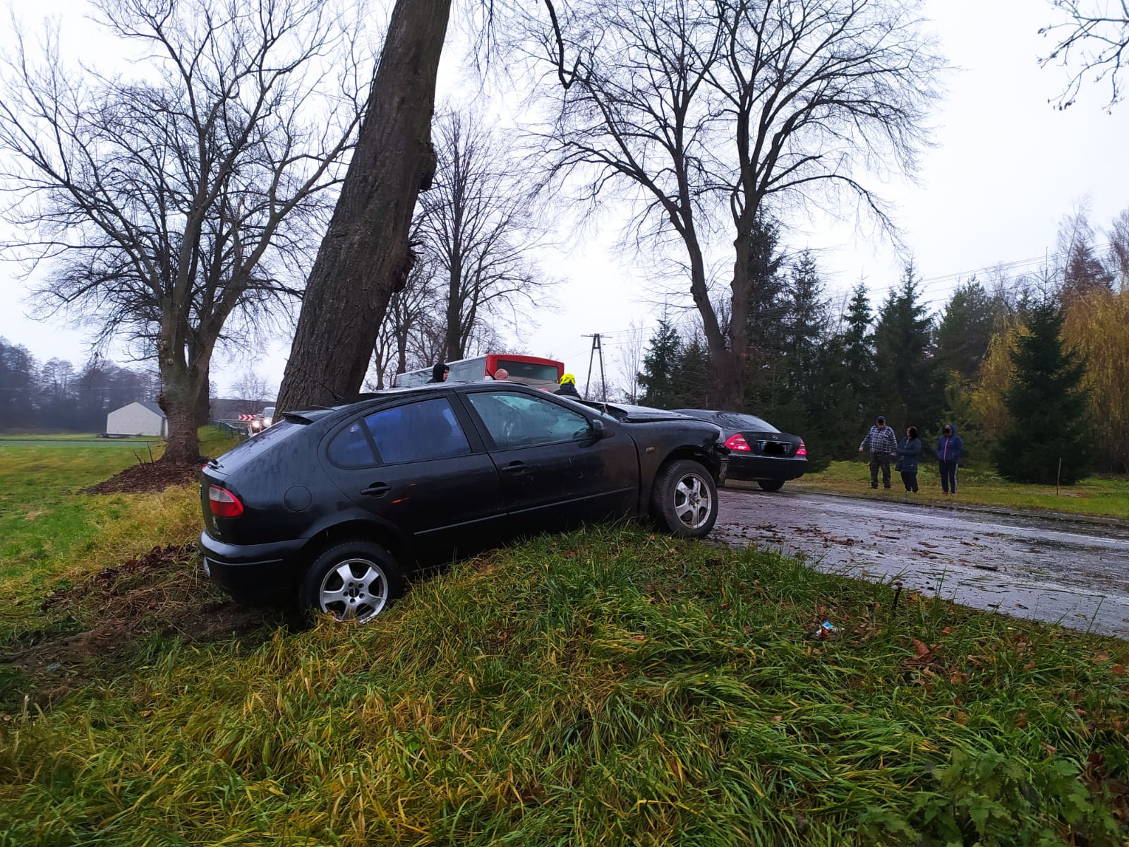 Seat wypadł z drogi i uderzył bokiem w drzewo (zdjęcia)