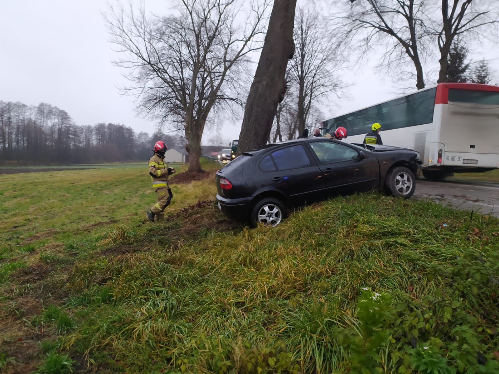 Seat wypadł z drogi i uderzył bokiem w drzewo (zdjęcia)