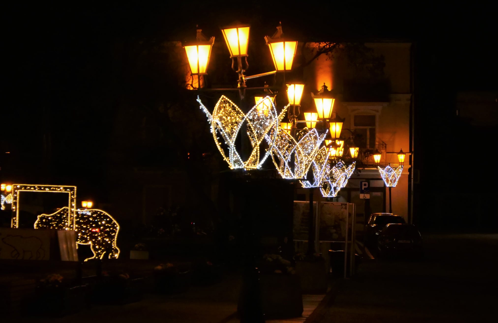Miasta Lubelszczyzny stroją się na święta. Pierwsze choinki już świecą (zdjęcia)
